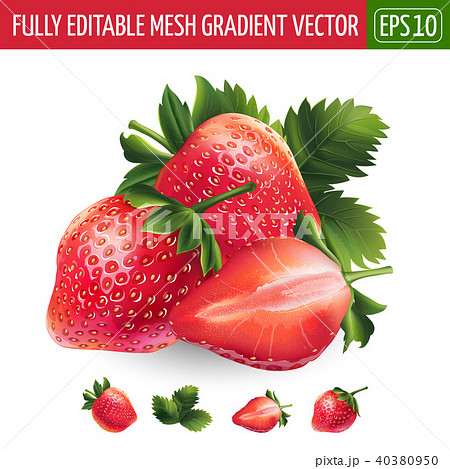 Strawberry on white background. Vector illustration Strawberry on white background. Vector illustration 40380950