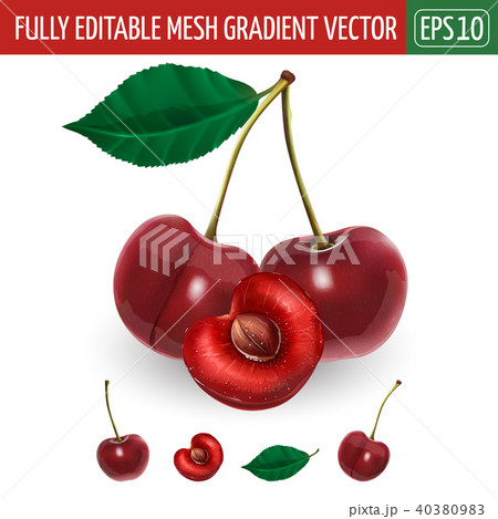 Cherry on white background. Vector illustration Cherry on white background. Vector illustration 40380983