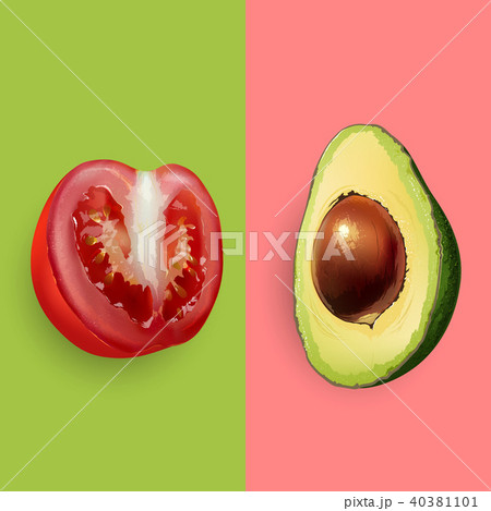 Avocado and tomato. Vector illustration Avocado and tomato. Vector illustration 40381101