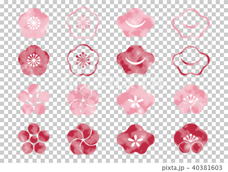 梅 水彩セット 梅 水彩セット 40381603