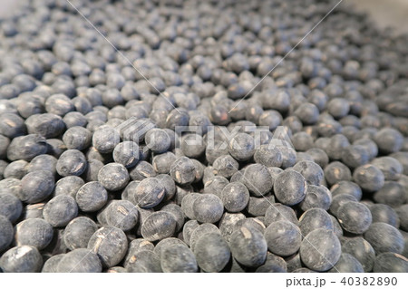黒豆 黒豆 40382890