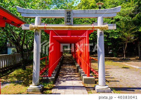 (静岡県長泉町)割狐塚稲荷神社 鳥居 (静岡県長泉町)割狐塚稲荷神社 鳥居 40383041