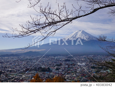 Mount Fuji at sunny day in autumn Mount Fuji at sunny day in autumn 40383042