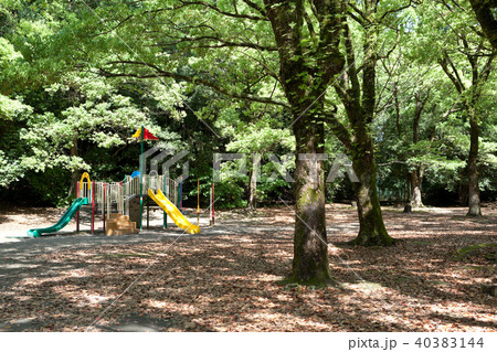 森の中の公園 森の中の公園 40383144
