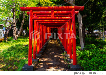 （静岡県長泉町）割狐塚稲荷神社　鳥居 40383335