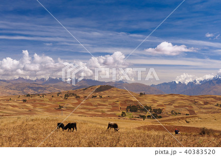 インカの聖なる谷 インカの聖なる谷 40383520