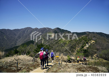 丹沢：鳥尾山から塔ノ岳に向かう登山道 40383939