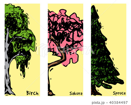 Vector tree sketch hand drawn style types green forest pine treetops collection of birch, cedar and 40384497