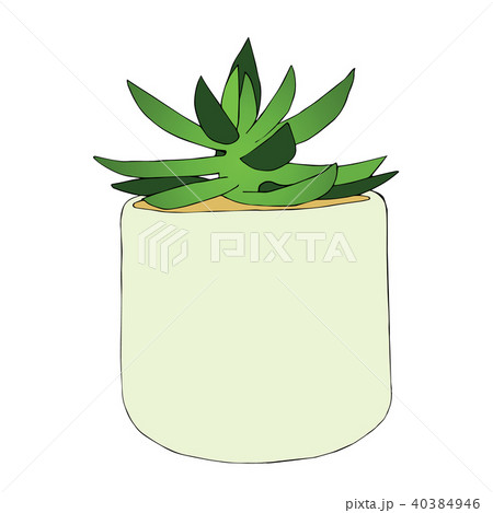 Hand drawn succulent flower in the pot.  40384946