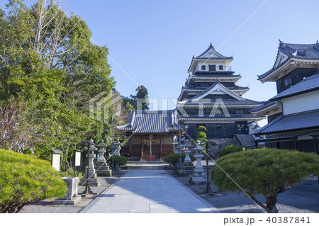 中津城と奥平神社 40387841