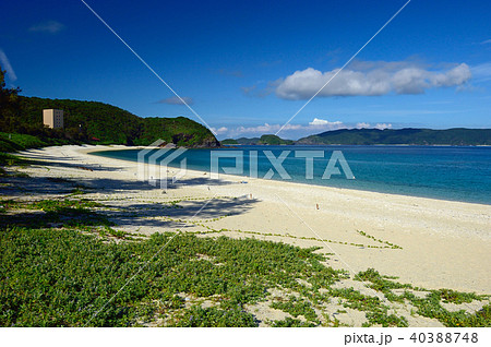 沖縄県島尻郡 座間味島 古座間味ビーチ 沖縄県島尻郡 座間味島 古座間味ビーチ 40388748