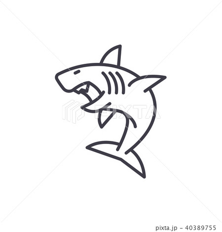 great white shark vector line icon, sign, illustration on background, editable strokes great white shark vector line icon, sign, illustration on background, editable strokes 40389755