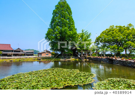 縫ノ池湧水　【佐賀県杵島郡白石町】 40389914