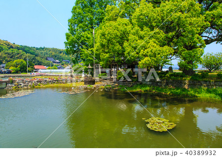 縫ノ池湧水　【佐賀県杵島郡白石町】 40389932