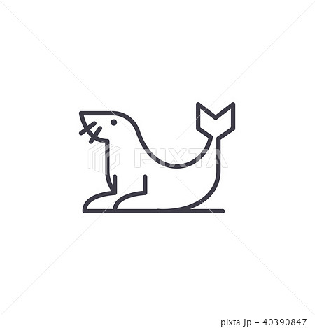 fur seal vector line icon, sign, illustration on background, editable strokes 40390847