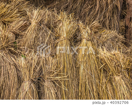 Dry straw for cattle and buffaloes 40392706