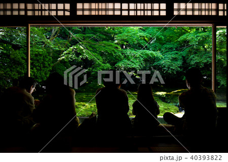 瑠璃光院 瑠璃の庭 新緑 瑠璃光院 瑠璃の庭 新緑 40393822