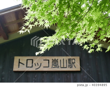 トロッコ嵐山駅 トロッコ嵐山駅 40394895