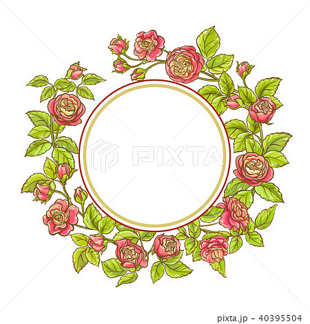 rose branch vector frame 40395504
