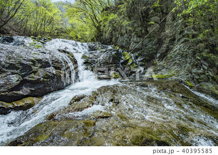 魚止めの滝　水荒め 40395585