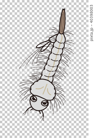 蚊の幼虫　ボウフラ　元気 40398003