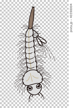 蚊の幼虫　ボウフラ　元気 40398004