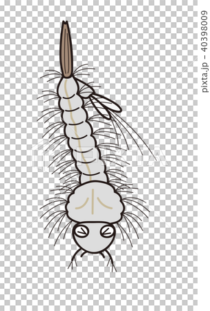 Mosquito larvae are weak Mosquito larvae are weak 40398009