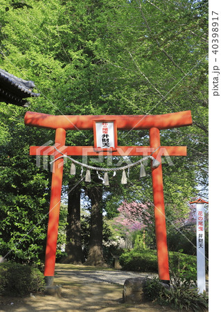 尾曳稲荷(おびきいなり)神社 群馬県館林市 尾曳稲荷(おびきいなり)神社 群馬県館林市 40398917