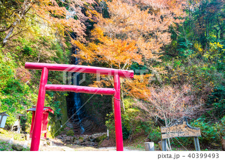 養老渓谷 （金神の滝） 秋 40399493