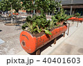 Garden Box Reused Oil Drum 40401603