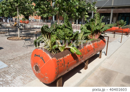 Garden Box Reused Oil Drum Garden Box Reused Oil Drum 40401603