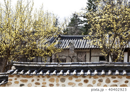 顕忠祠 建築物 自然 40402923
