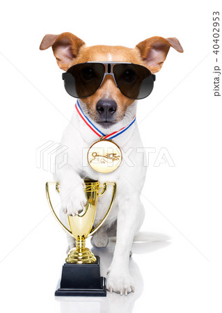 winner trophy  dog 40402953