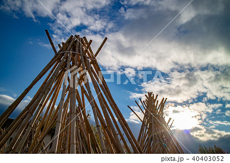 奈良県生駒市高山地区の茶せんの原料となる竹を寒日干ししている状況を撮影したもの 40403052