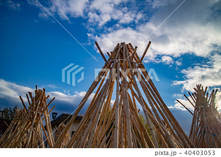 奈良県生駒市高山地区の茶せんの原料となる竹を寒日干ししている状況を撮影したもの 40403053
