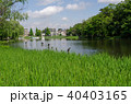 公園の池 40403165