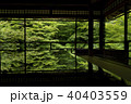 瑠璃光院の写経机に移る青紅葉 40403559