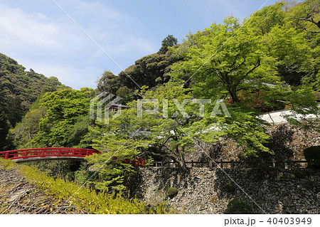 瀧安寺 瀧安寺 40403949