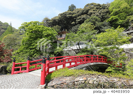 瀧安寺 瀧安寺 40403950