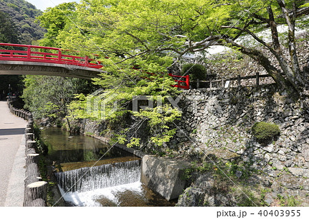 瀧安寺 瀧安寺 40403955