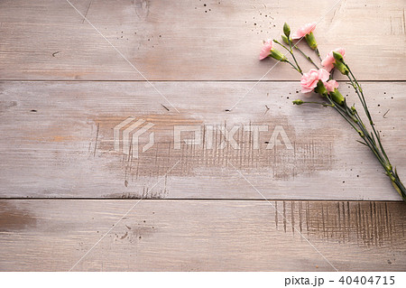 母の日イメージ カーネーションのフレーム 母の日イメージ カーネーションのフレーム 40404715