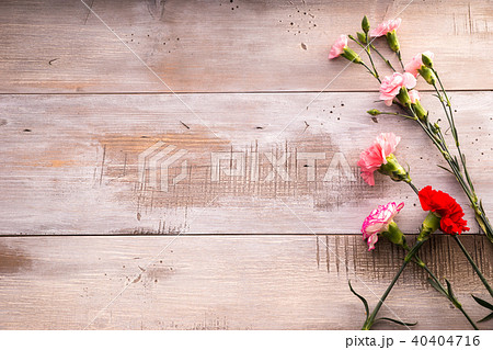 母の日イメージ カーネーションのフレーム 母の日イメージ カーネーションのフレーム 40404716