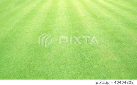 Green Grass Background 40404808