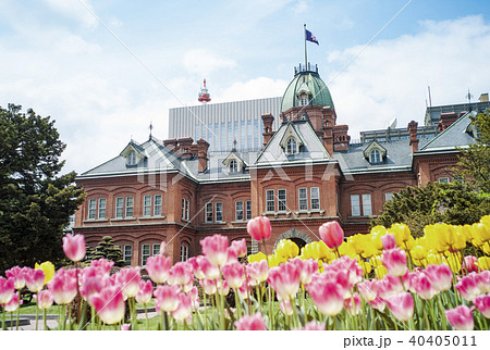 赤レンガ庁舎（+チューリップ） 40405011