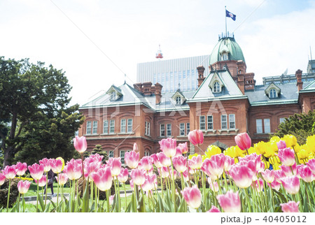 チューリップと赤レンガ庁舎（アウトフォーカス） 40405012