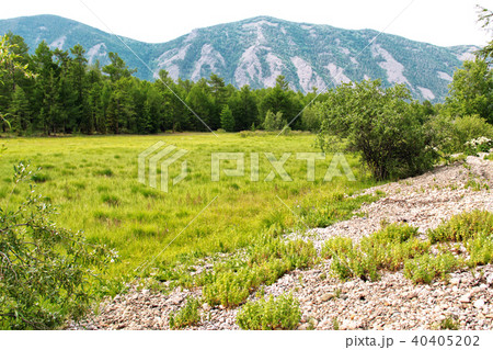 Summer mountain landscape 40405202