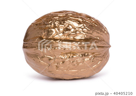 Golden walnut isolated on white background. Hand painted nut Golden walnut isolated on white background. Hand painted nut 40405210