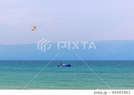 transport ship and gull on the lake Baikal transport ship and gull on the lake Baikal 40405901