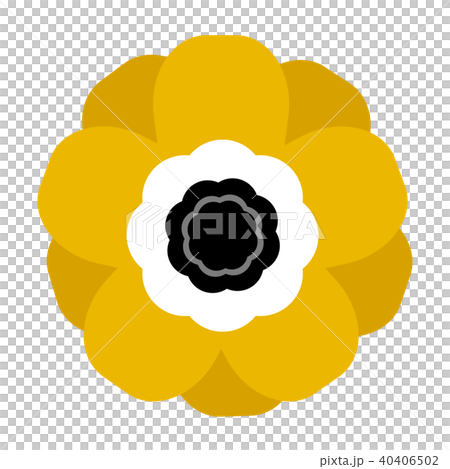 黃色海葵 黃色海葵 40406502