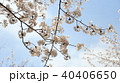 桜と空 40406650